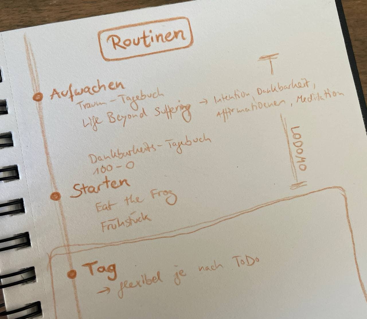A breakdown of my morning routine: Waking (Dream Journal, Life Beyond Suffering, Gratitude Journal, 100-0), Starting (Eat the Frog, Breakfast), Day (flexible, depending on ToDos)